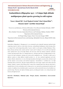 A Unique High Altitude Multipurpose Plant Species Growing in Cold Regions