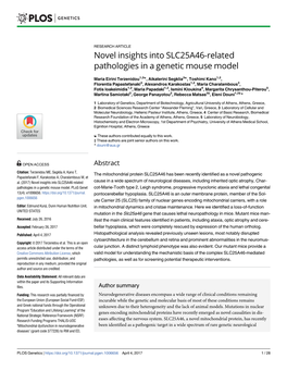 Novel Insights Into SLC25A46-Related Pathologies in a Genetic Mouse Model