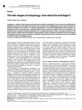 The Late Stages of Autophagy: How Does the End Begin?