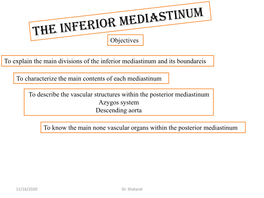 Posterior Mediastinum Azygos System Descending Aorta