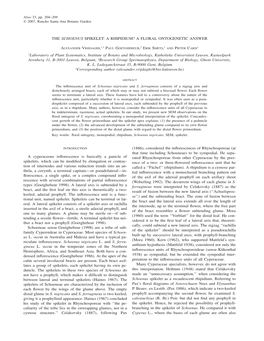 The Schoenus Spikelet: a Rhipidium? a Floral Ontogenetic Answer