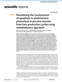 Elucidating the Involvement of Apoptosis in Postmortem Proteolysis