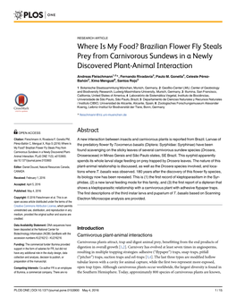 Brazilian Flower Fly Steals Prey from Carnivorous Sundews in a Newly Discovered Plant-Animal Interaction