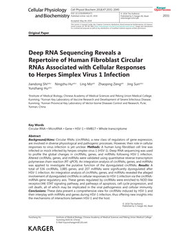 Deep RNA Sequencing Reveals a Repertoire of Human Fibroblast Circular Rnas Associated with Cellular Responses to Herpes Simplex Virus 1 Infection