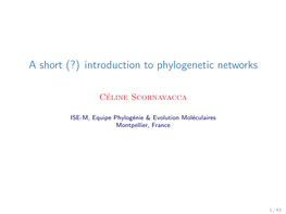 Introduction to Phylogenetic Networks