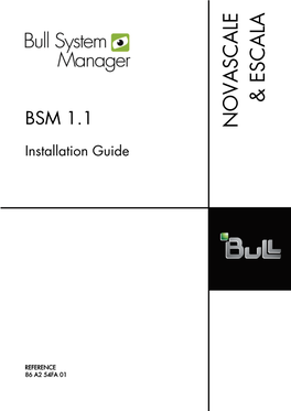 BSM 1.1 Installation Guide