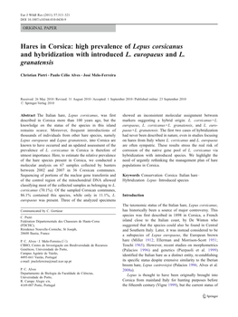 High Prevalence of Lepus Corsicanus and Hybridization with Introduced L