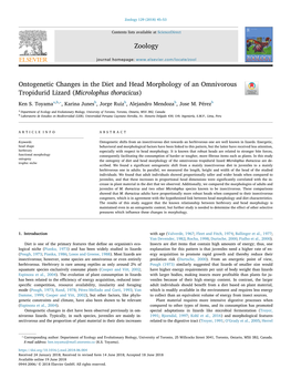 Ontogenetic Changes in the Diet and Head Morphology of an Omnivorous Tropidurid Lizard (Microlophus Thoracicus) T ⁎ Ken S