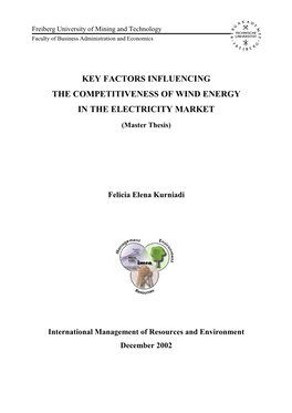 Key Factors Influencing the Competitiveness of Wind Energy in the Electricity Market