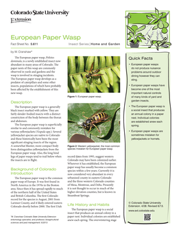 European Paper Wasp Fact Sheet No