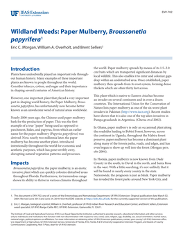 Paper Mulberry, Broussonetia Papyrifera1 Eric C