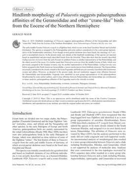 Hindlimb Morphology of Palaeotis Suggests Palaeognathous Affinities of the Geranoididae and Other “Crane-Like” Birds from the Eocene of the Northern Hemisphere