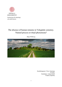 The Absence of Human Remains in Valsgärde Cemetery. Natural Process Or Ritual Phenomena?