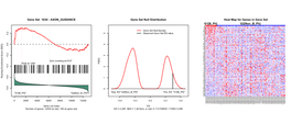 R Graphics Output