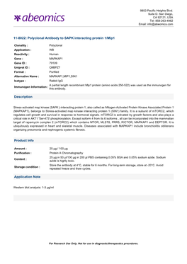 Polyclonal Antibody to SAPK Interacting Protein 1/Mip1