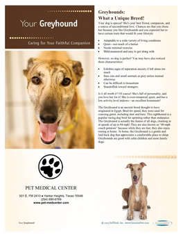 Greyhounds: What a Unique Breed! PET MEDICAL CENTER