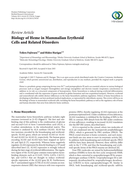 Biology of Heme in Mammalian Erythroid Cells and Related Disorders