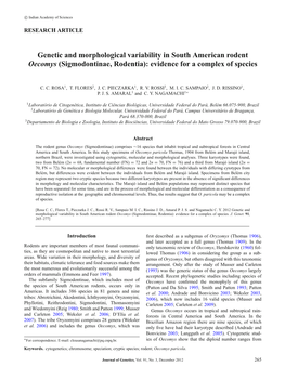 Genetic and Morphological Variability in South American Rodent Oecomys (Sigmodontinae, Rodentia): Evidence for a Complex of Species