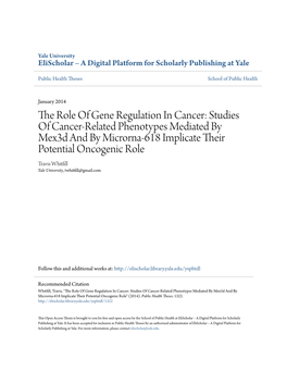 The Role of Gene Regulation in Cancer