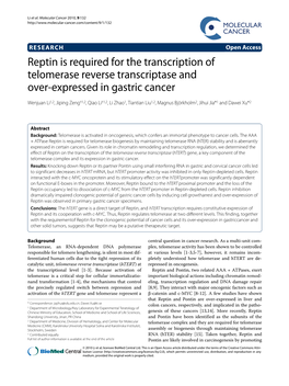 Reptin Is Required for the Transcription of Telomerase Reverse Transcriptase