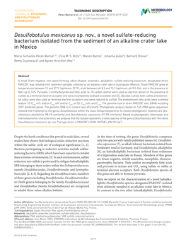 Desulfobotulus Mexicanus Sp. Nov., a Novel Sulfate-Reducing Bacterium