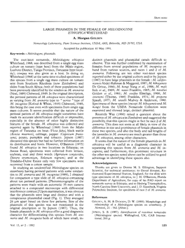 Large Phasmids in the Female of Meloidogyne Ethiopica Whitehead