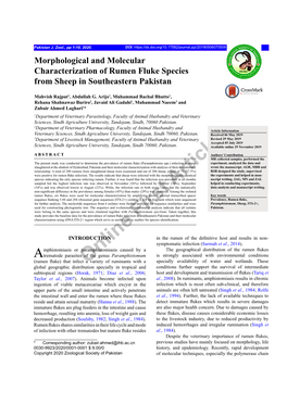 Morphological and Molecular Characterization of Rumen Fluke Species from Sheep in Southeastern Pakistan