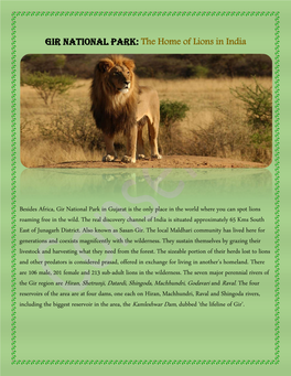 Gir National Park: the Home of Lions in India