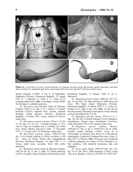 Euscorpius — 2006, No. 33 6
