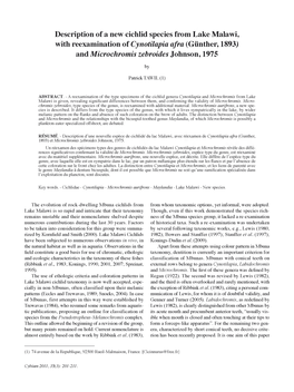 Description of a New Cichlid Species from Lake Malawi, with Reexamination of Cynotilapia Afra (Gunther, 1893) and Microchromis Zebroides Johnson, 1975