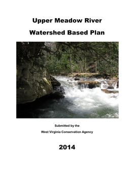 Upper Meadow River Watershed Based Plan