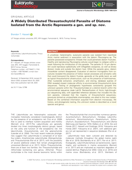 A Widely Distributed Thraustochytrid Parasite of Diatoms Isolated from the Arctic Represents a Gen. and Sp. Nov