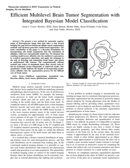 Efficient Multilevel Brain Tumor Segmentation with Integrated