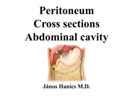 Peritoneum Cross Sections Abdominal Cavity