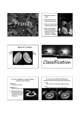 Classification Middle Layer