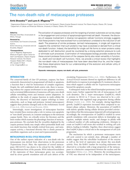 The Non-Death Role of Metacaspase Proteases