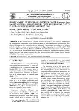 Diptera: Drosophilidae) from Brassicaceae Plants in Basrah Province Fields Southern Iraq