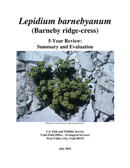 Lepidium Barnebyanum (Barneby Ridge-Cress)