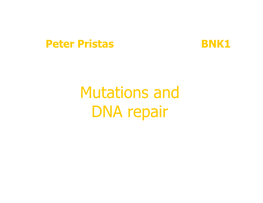 Mutation Repair Prin