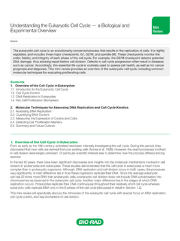 Understanding the Eukaryotic Cell Cycle — a Biological and Mini Experimental Overview Review