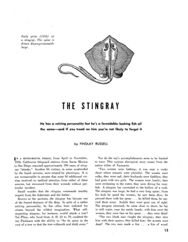 The Stingray Commands Healthy the Stingray Was Large, He Had a Very Long Spear; from Respect from the Fisherman and the Bather