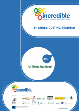 1St CROSS CUTTING SEMINAR All Inets Involved