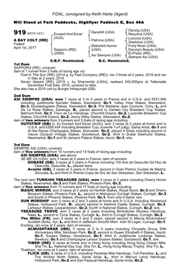 FOAL, Consigned by Keith Harte (Agent)