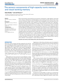 The Sensory Components of High-Capacity Iconic Memory and Visual Working Memory