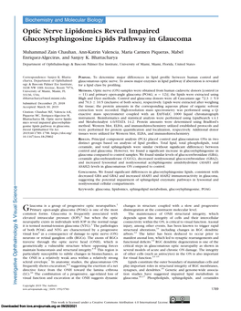 Optic Nerve Lipidomics Reveal Impaired Glucosylsphingosine Lipids Pathway in Glaucoma