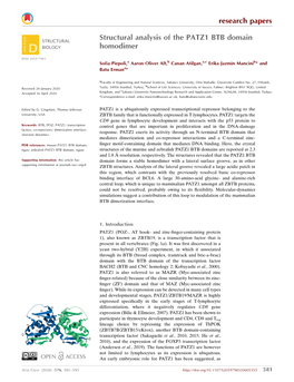 Structural Analysis of the PATZ1 BTB Domain Homodimer