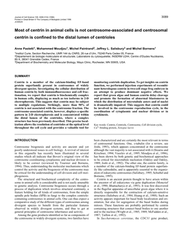 Most of Centrin in Animal Cells Is Not Centrosome-Associated and Centrosomal Centrin Is Conﬁned to the Distal Lumen of Centrioles