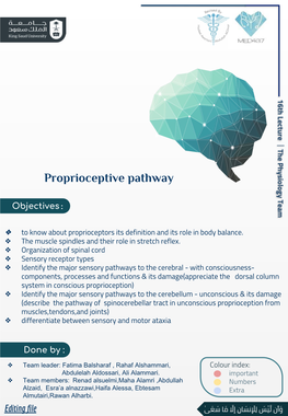 Proprioceptive Pathway