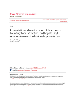 Computational Characterization of Shock Wave
