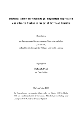 Cospeciation and Nitrogen Fixation in the Gut of Dry-Wood Termites